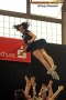 Thumbs/tn_14-38-18 IMG_6664.jpg